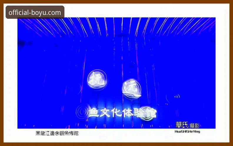 博鱼体育下载链接哪个好 揭秘博鱼体育下载链接背后的选择逻辑:你不知道的正版客户端真相